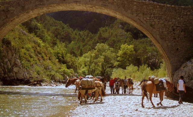 Gorges du Verdon a cheval